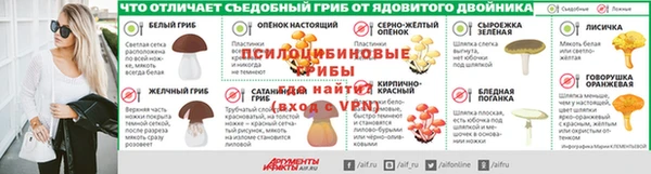 ECSTASY Богородицк