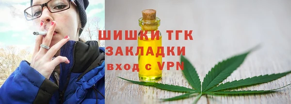 ECSTASY Богородицк