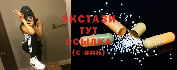 ECSTASY Богородицк