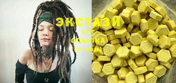 ECSTASY Богородицк