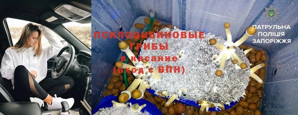 скорость Богородск