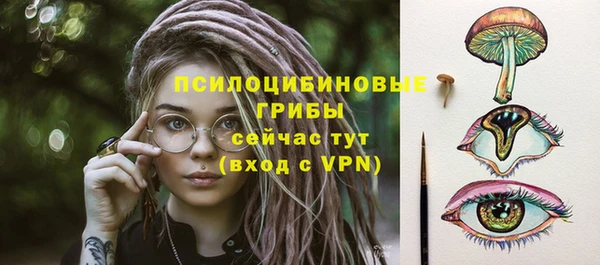 метамфетамин Богданович