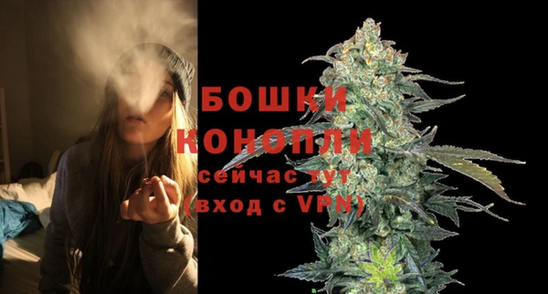 ECSTASY Богородицк
