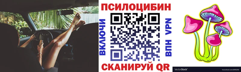 Псилоцибиновые грибы Psilocybe  Улан-Удэ 